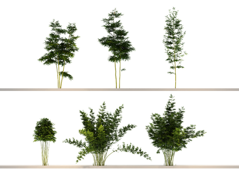  竹子 文竹 竹林 竹竿3d模型 