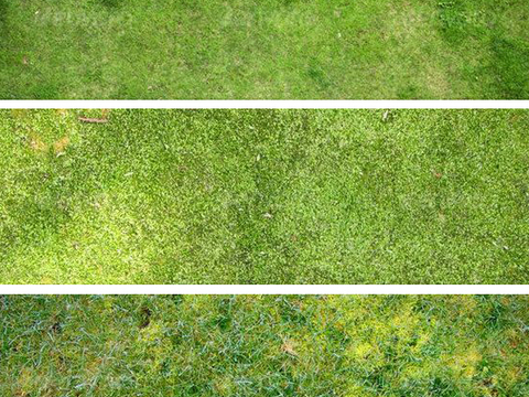  现代草地土壤平面素材景观psd 