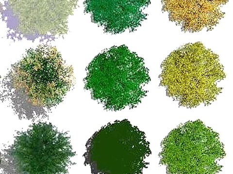  现代经典平面植物景观psd 