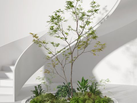  现代景观绿植小品3d模型 