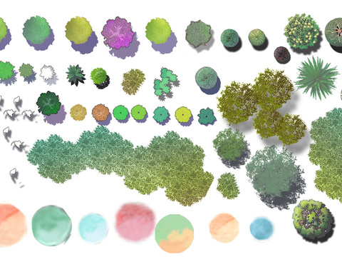  现代经典平面植物景观psd 