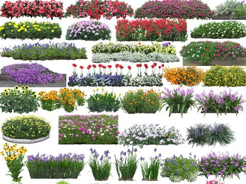  绿篱 花草灌木 修剪绿篱 造型灌木 绿化带psd 