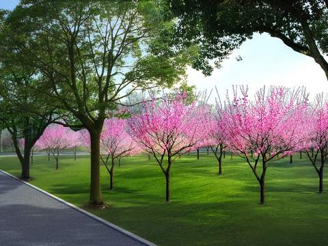  园林景观 建筑psd 