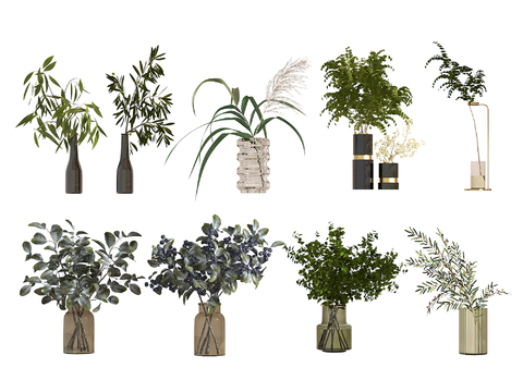  水生植物 水培绿植3d模型 