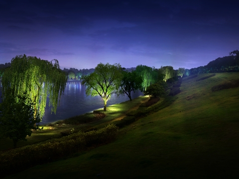  现代公园园林夜景psd 