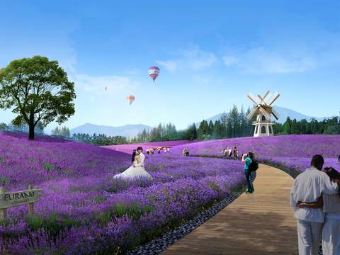  现代薰衣草花海景观psd 