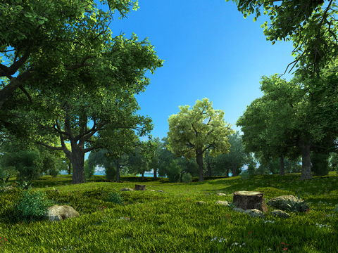  现代森林景观3d模型 