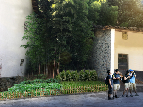  现代菜园景观psd 