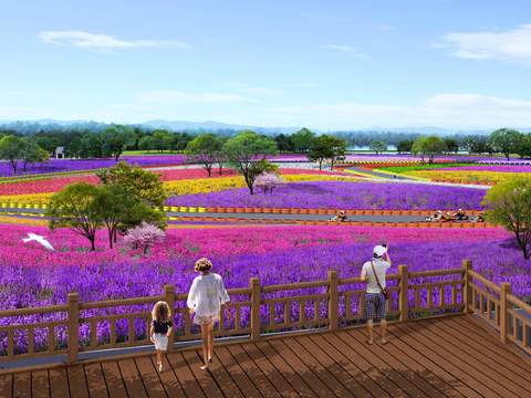  现代花卉花海公园园林鸟瞰psd 