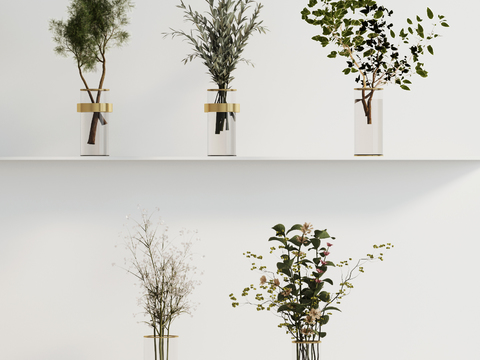  水培绿植 水生植物3d模型 