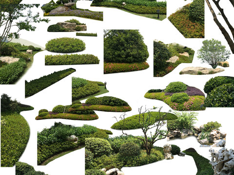  现代绿植灌木丛psd 