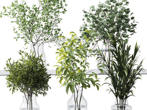  水生植物 水培绿植3d模型 