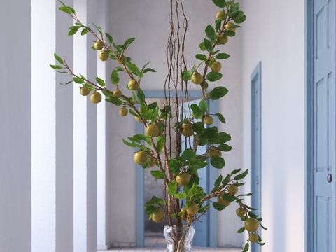  水生植物 水培绿植3d模型 