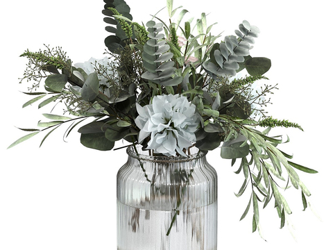  水生植物 水培绿植3d模型 