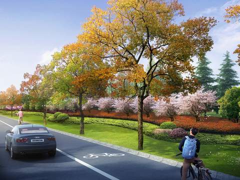  城市道路 绿化带psd 