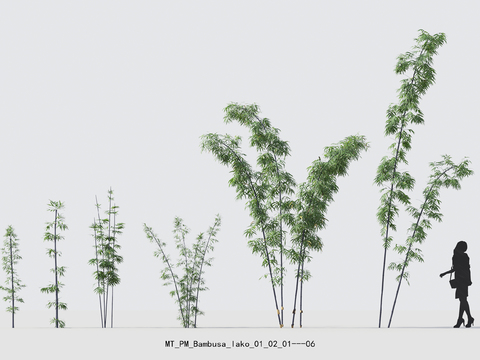  现代竹子绿植盆栽psd 