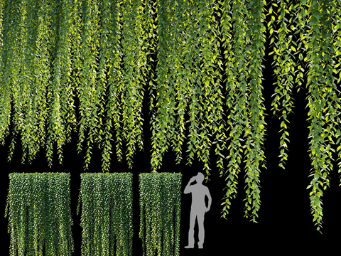  现代绿植藤蔓3d模型 