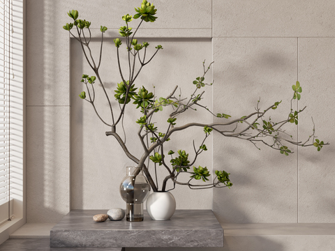  水生植物 水培绿植3d模型 