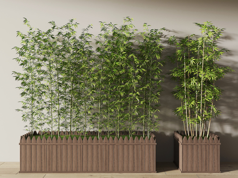  竹子盆栽 盆景3d模型 