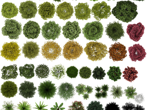  现代绿植树木平面素材psd 