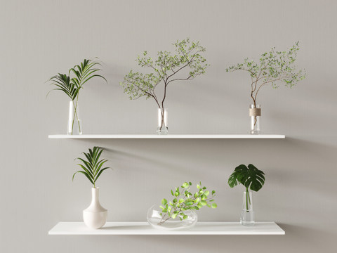  水生植物 水培绿植3d模型 