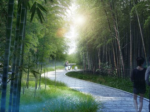  现代森林公园psd 