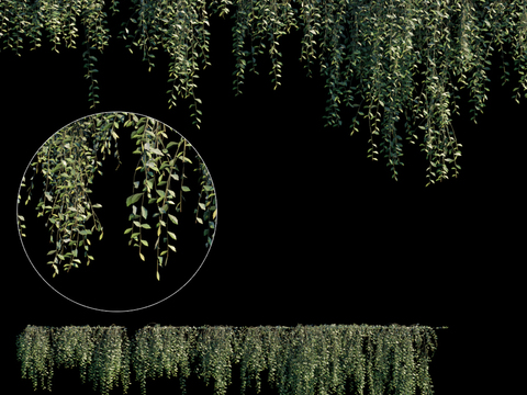  现代绿植藤蔓3d模型 