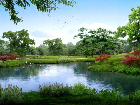  现代湿地公园园林景观psd 