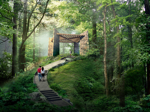  现代森林丛林景观psd 