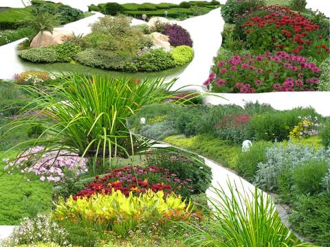  绿植花卉花草灌木丛psd 