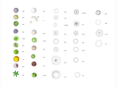  现代大树绿植植物平面图psd 