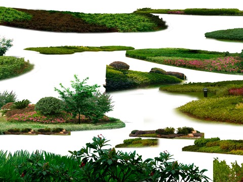  灌木球 花坛 绿化带psd 