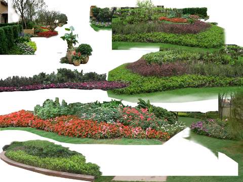  现代绿植花草灌木丛psd 