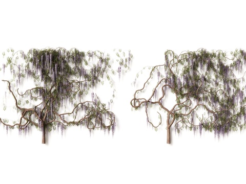  现代藤蔓植物3d模型 