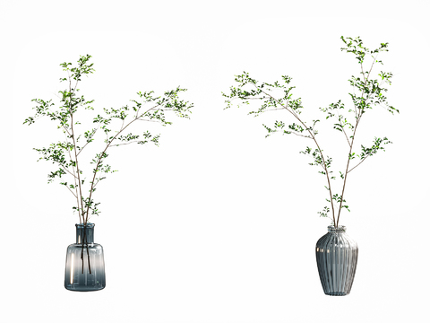  水培绿植 花瓶花艺3d模型 