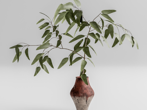  水生植物3d模型 