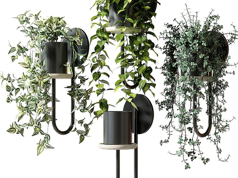  现代绿植吊篮3d模型 