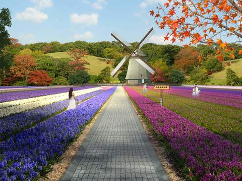  现代花海景观psd 