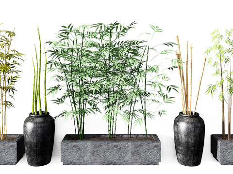  新中式植物竹子3d模型 