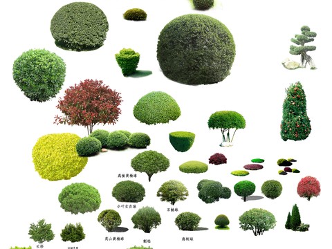  现代灌木球景观树psd 