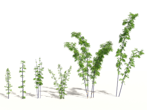  现代绿植竹子组合3d模型 