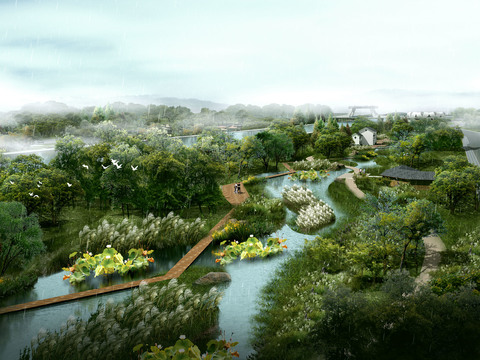  公园湿地鸟瞰psd 