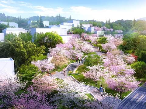  现代樱花树公园鸟瞰psd 