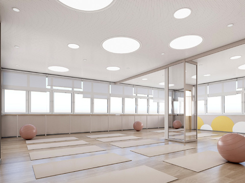  舞蹈教室 瑜伽教室3d模型 
