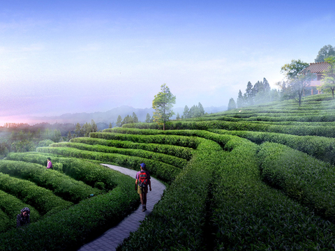  现代菜地园林景观psd 