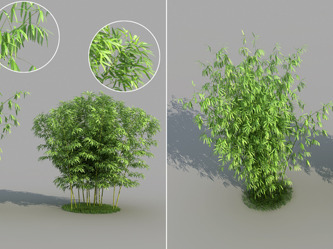  现代绿植竹子3d模型 