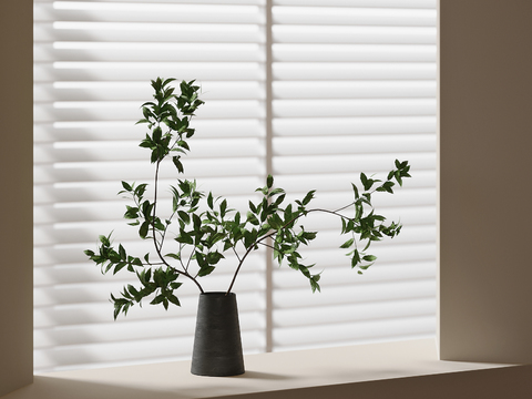  水生植物 水培绿植3d模型 