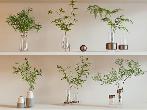  水生植物 水培绿植3d模型 