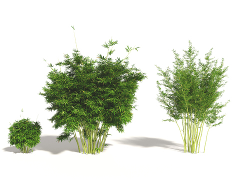  现代绿植竹子组合3d模型 