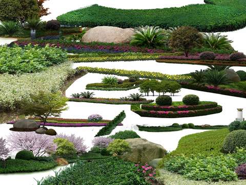  灌木球 花坛 绿化带psd 